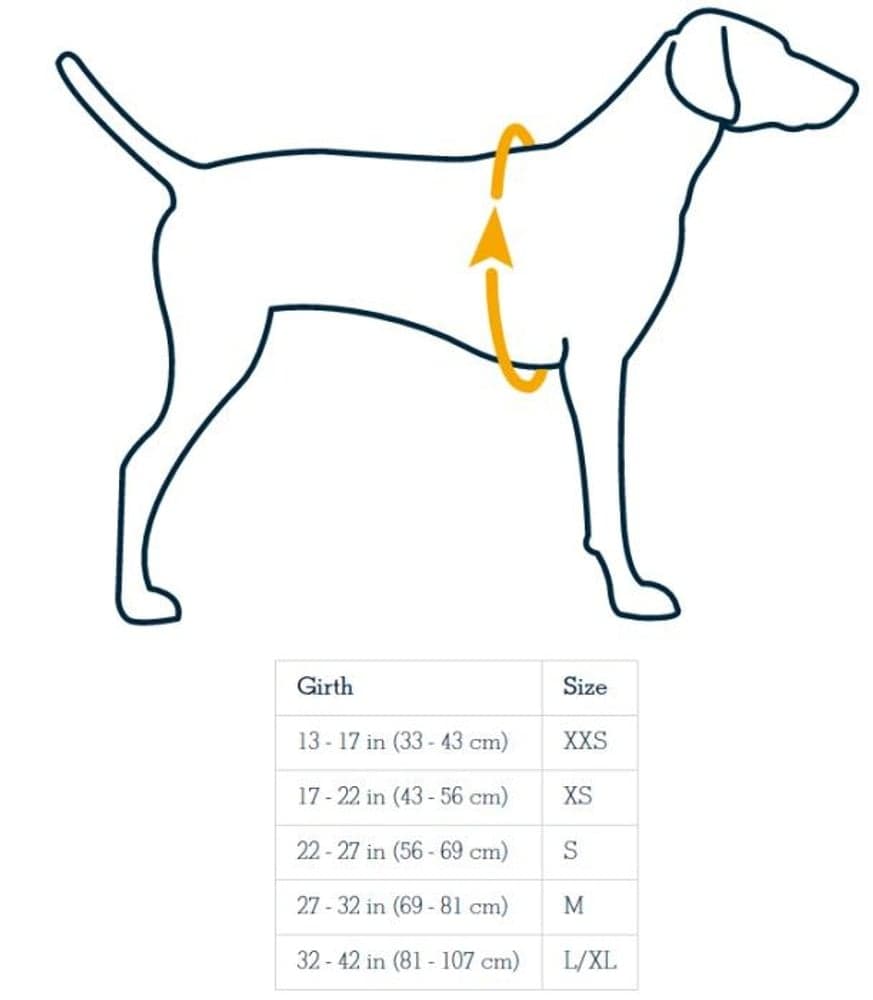 Cloud Chaser SoftShell Jacket Obsidian Black, view: 3