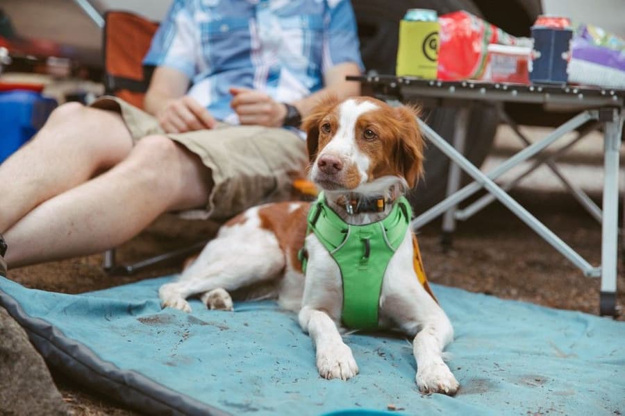 Mt. Bachelor Pad Large Overcast Blue, view: 2