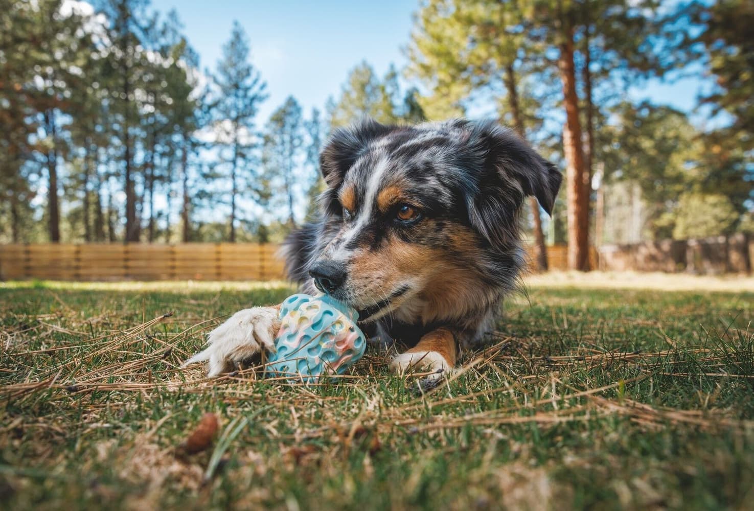 Morel Gray Sky, view: 3