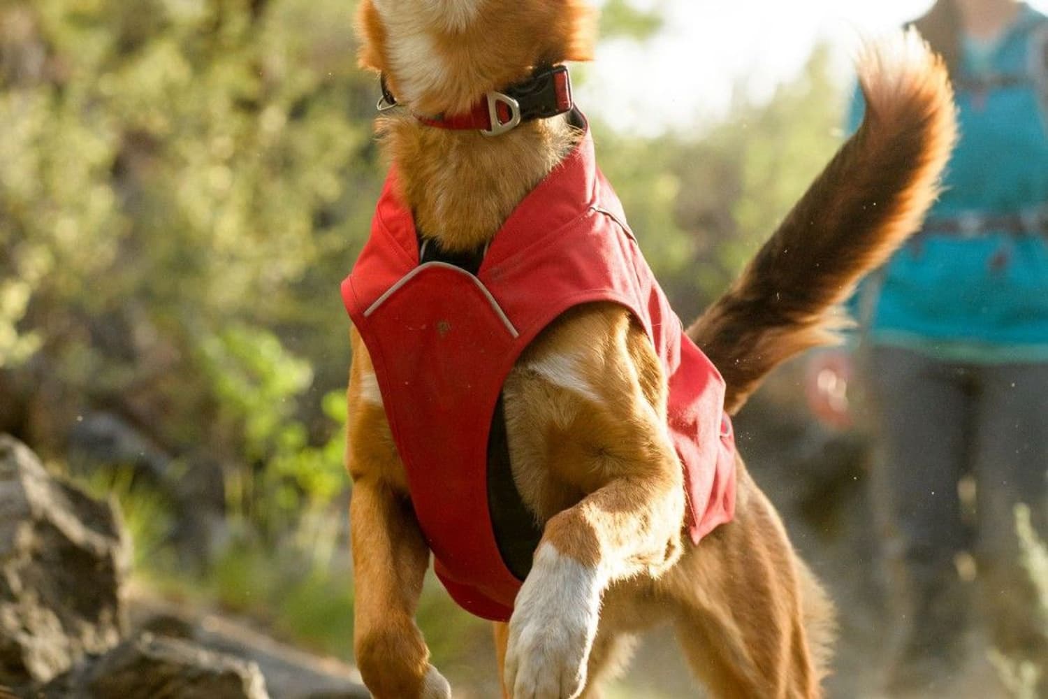 Turnup Sockeye Red, view: 2