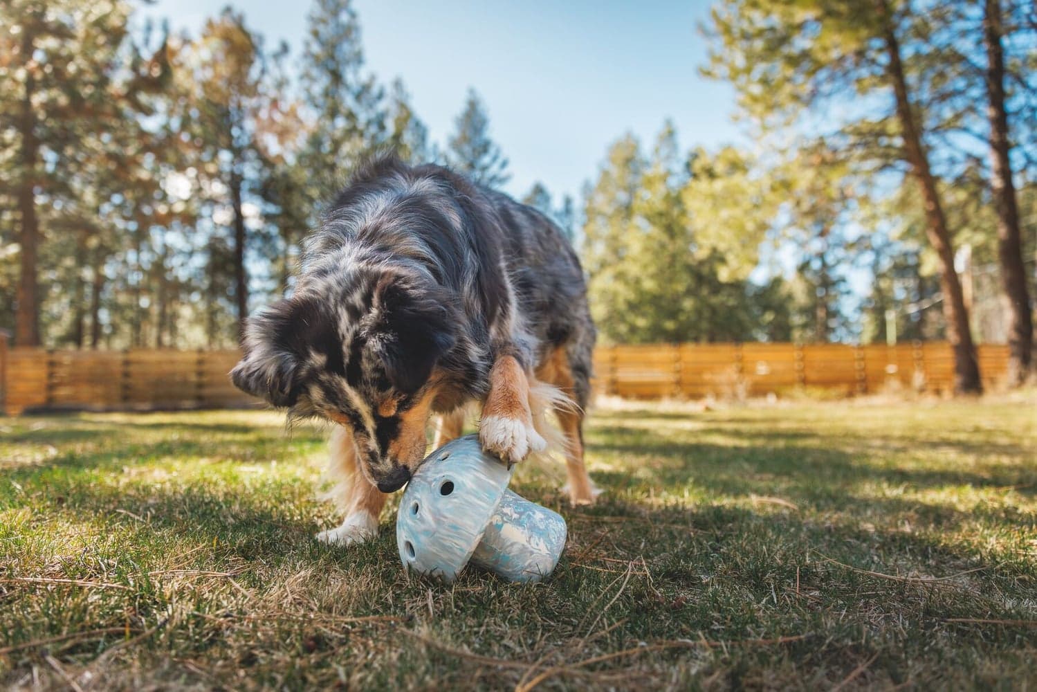 Porchini Moss Green, view: 3