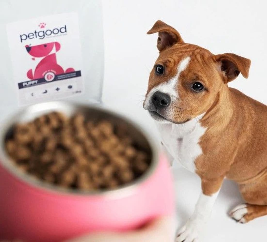 Insektsfoder Valp Testpåse 100 g, view: 1