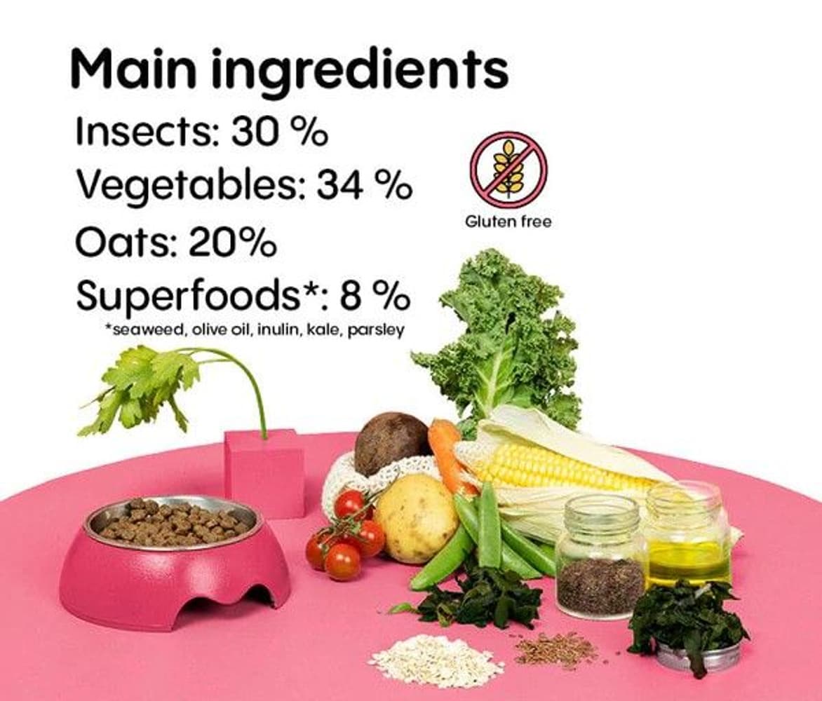 Insektsfoder Valp Testpåse 100 g, view: 2