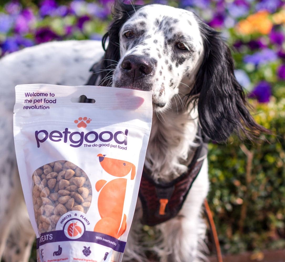 Hundgodis med Insektsprotein 350g, view: 2