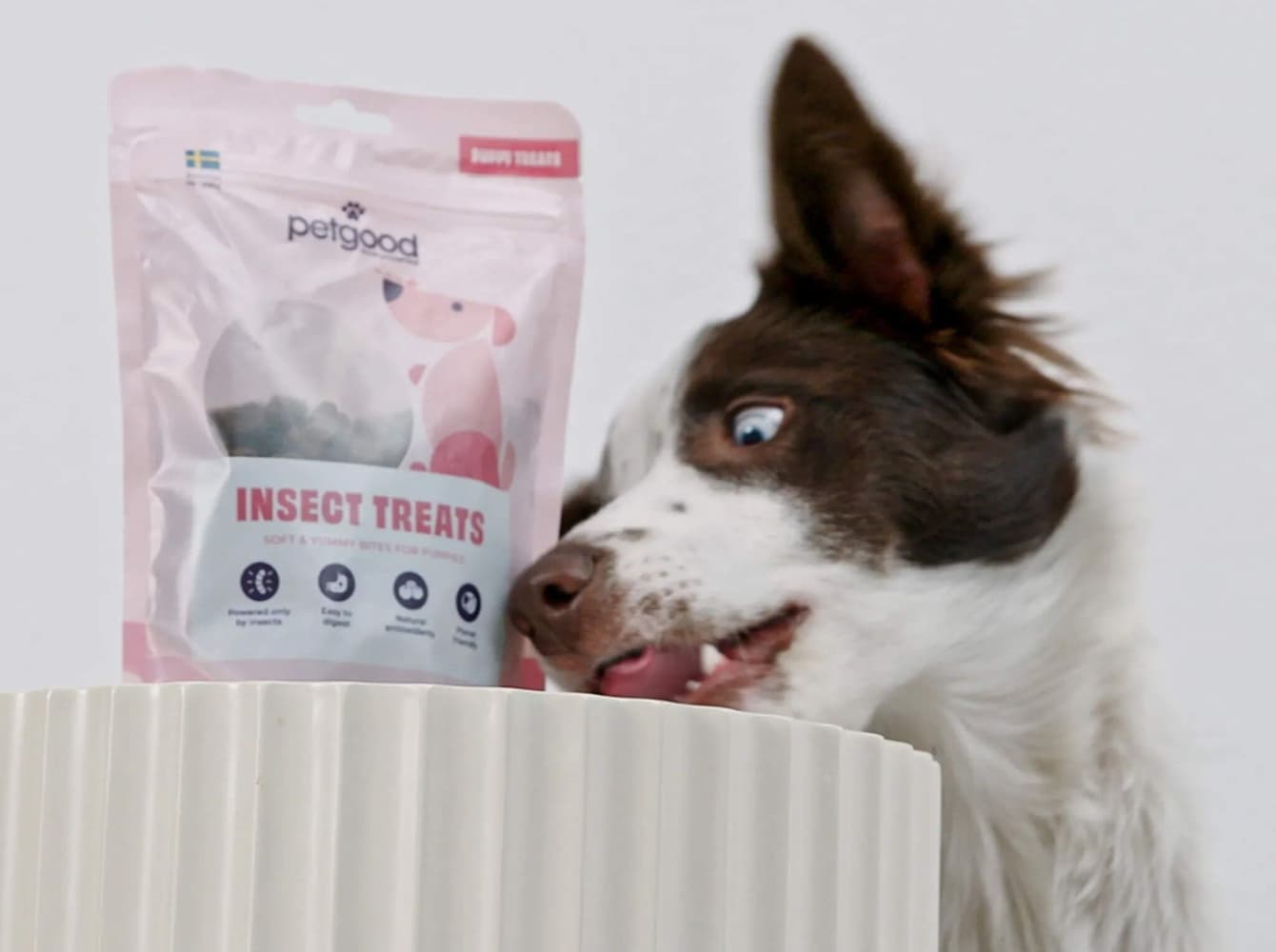 Insektsbaserat Hundgodis för Valpar 100 g, view: 1