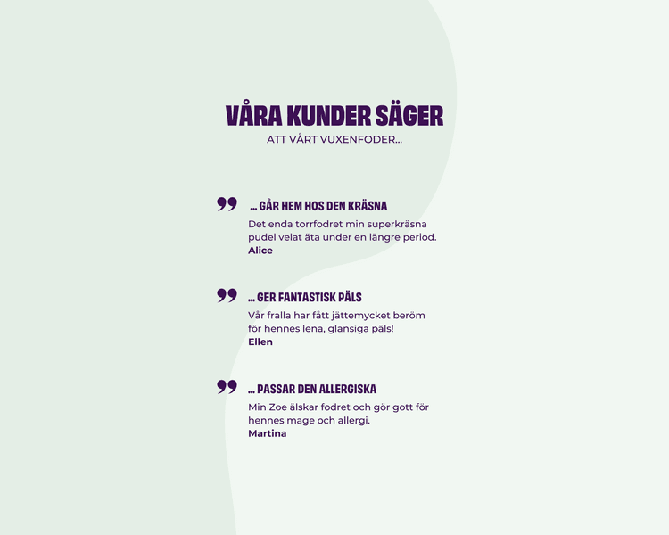 Insektsbaserat Premiumfoder Vuxen Hund 2 kg, view: 2