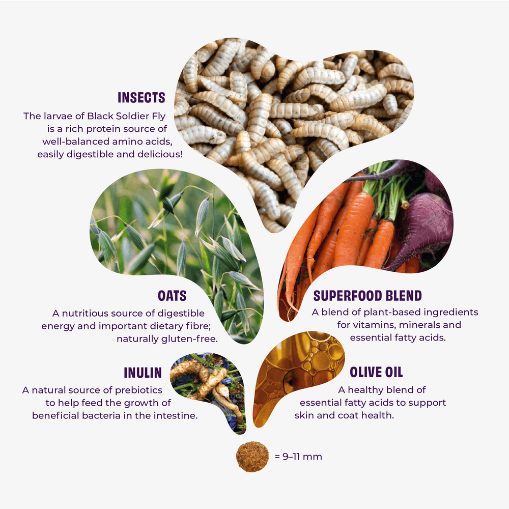 Insektsbaserat Premiumfoder Vuxen Hund 2 kg, view: 1