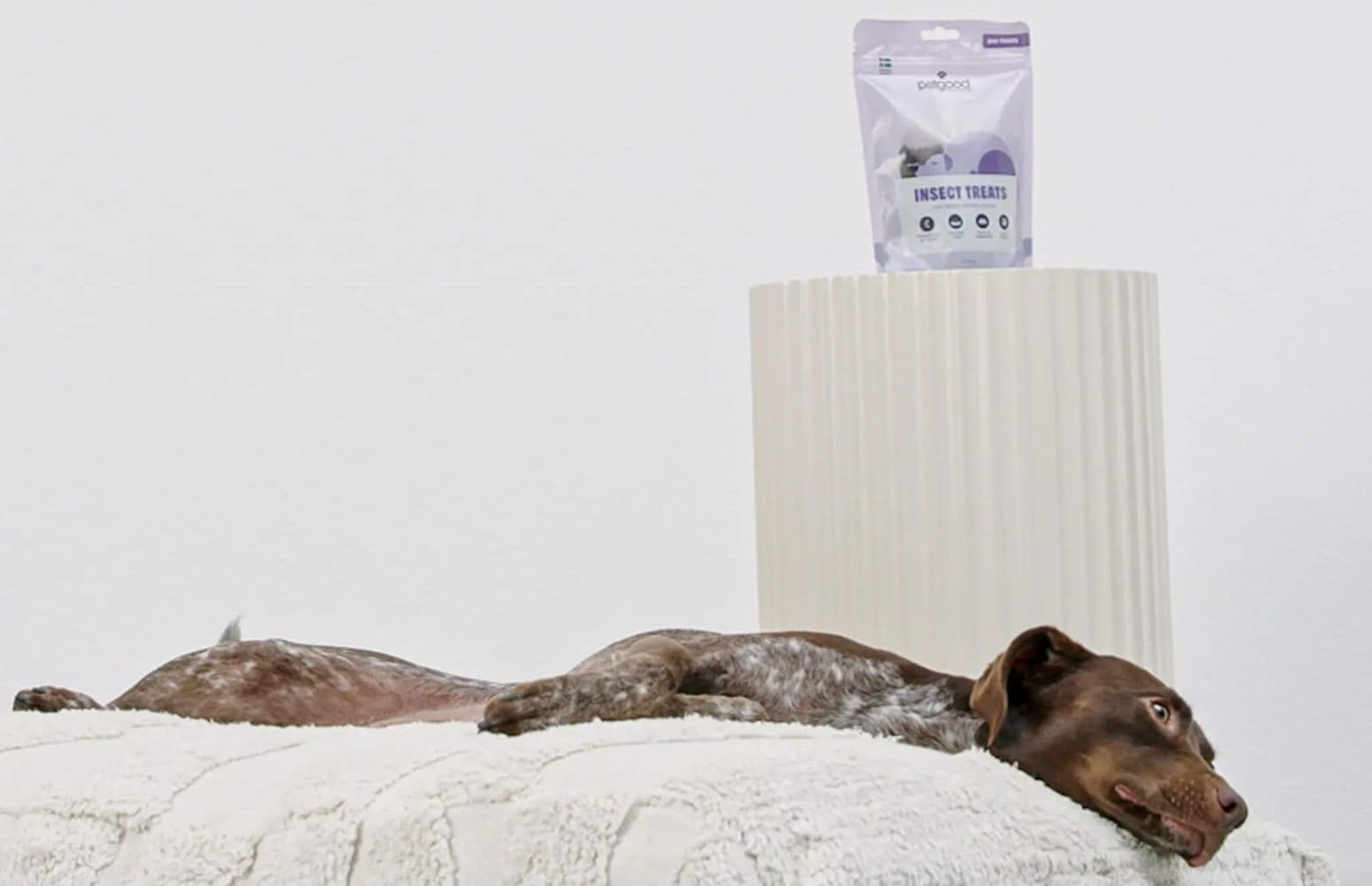 Insektsbaserat Hundgodis för Avkoppling 100 g, view: 3