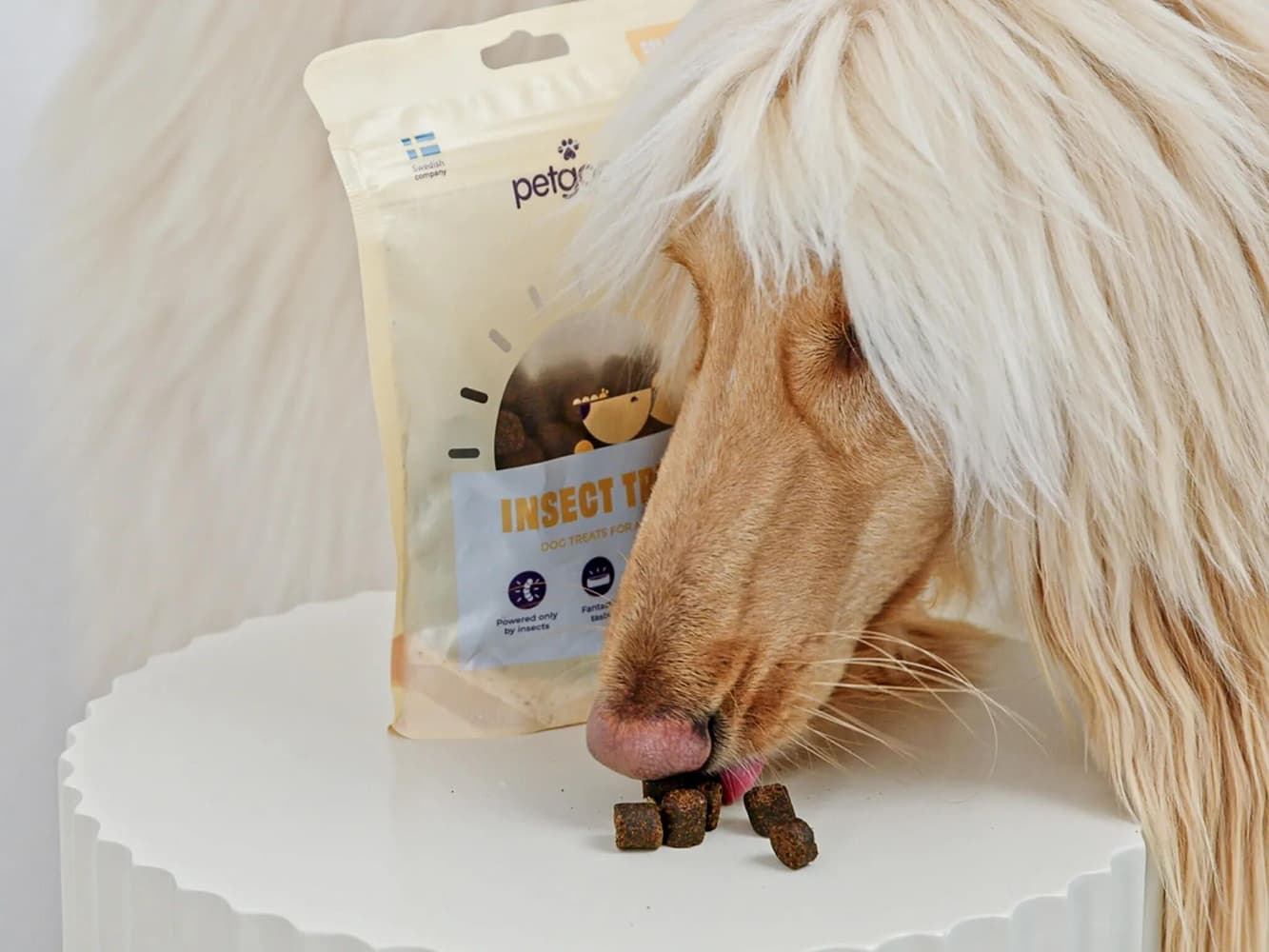 Insektsbaserat Hundgodis för Glänsande Päls 100 g, view: 1