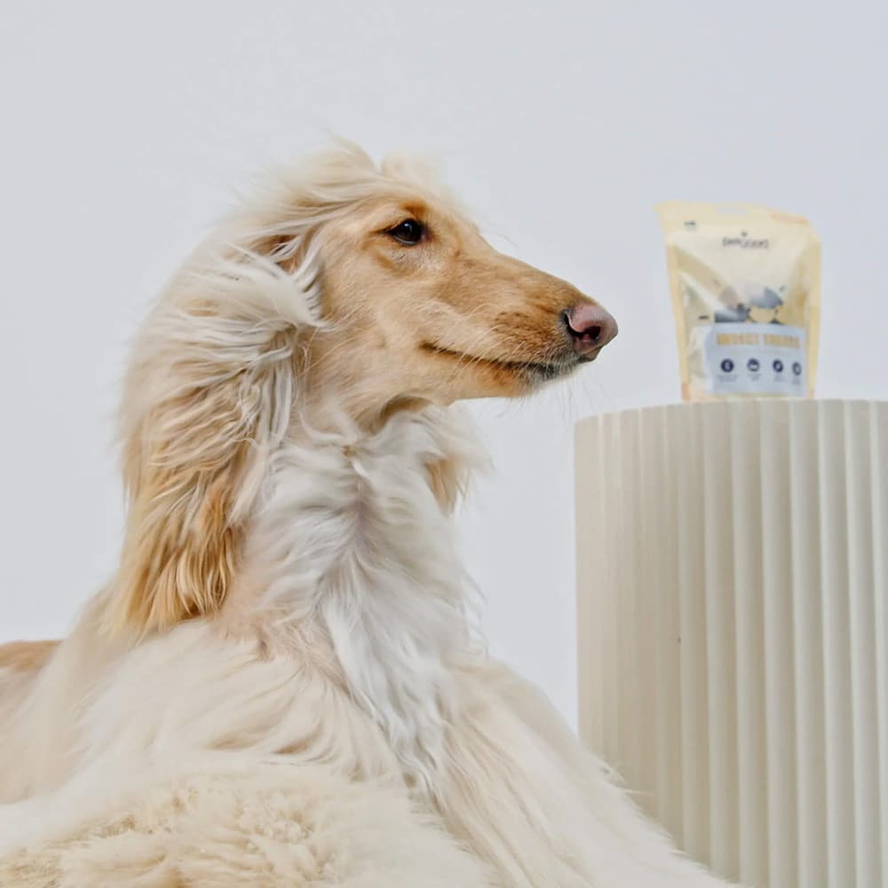 Insektsbaserat Hundgodis för Glänsande Päls 100 g, view: 2