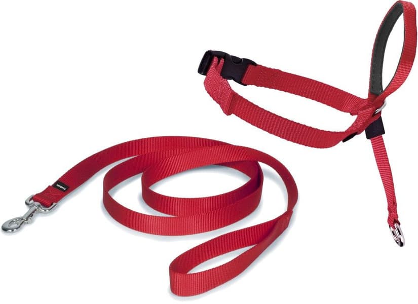 Petsafe Easy Walk Headcollar, view: 2
