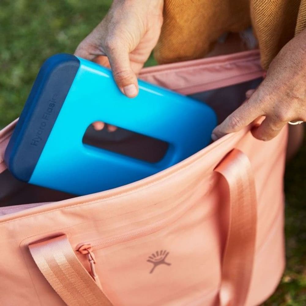 Insulated Tote 20L Blackberry, view: 9