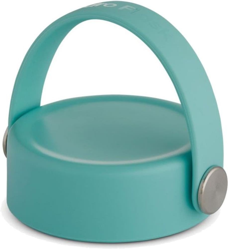 Wide Mouth Flex Cap Alpine, view: 0