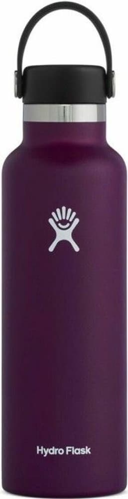 Standard Mouth Flex 621 ml Eggplant, view: 0