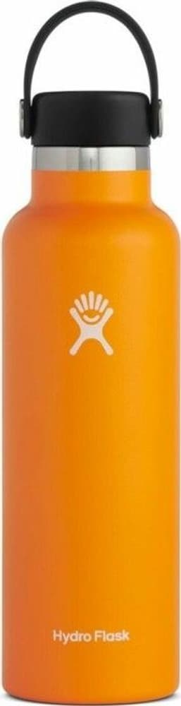 Standard Mouth Flex 621 ml Clementine, view: 0