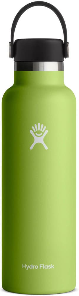 Hydroflask Std Flex 21oz (621ml) Seagrass, view: 0