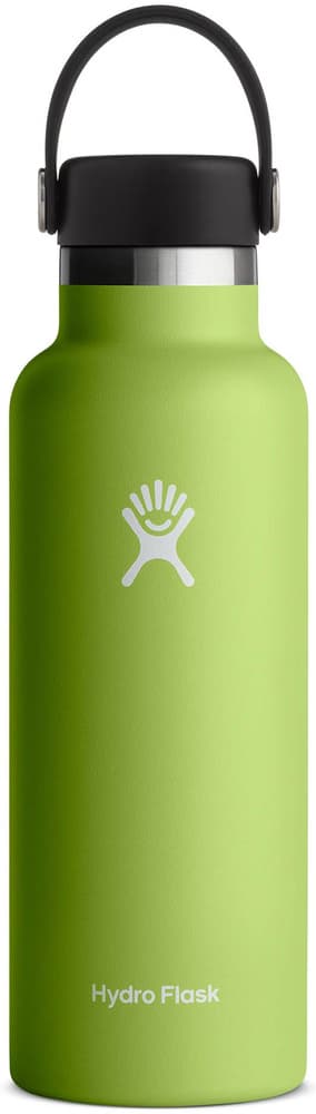 Hydroflask Std Flex 18oz (532ml) Seagrass, view: 0
