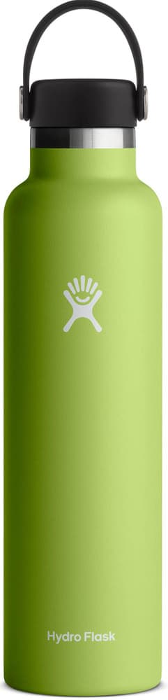 Hydroflask Std Flex 24oz (709ml) Seagrass, view: 0