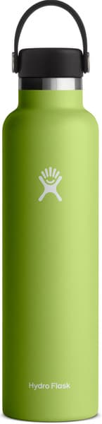Hydroflask Std Flex 24oz (709ml) Seagrass, view: 0