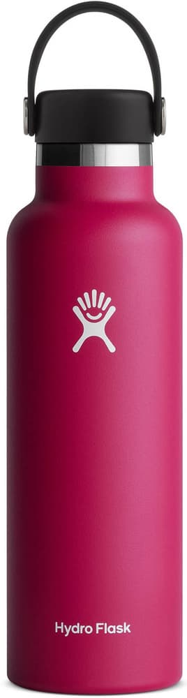 Hydroflask Std Flex 21 oz (621 ml) Snapper, view: 0