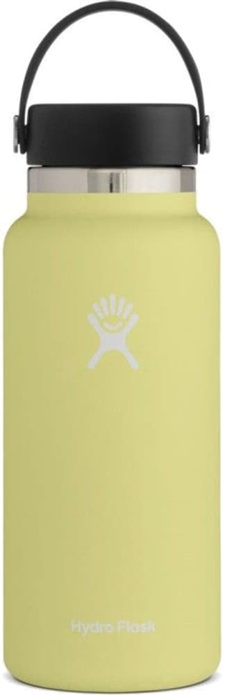 Insulated Wide Mouth Flex 946 ml Pineapple, view: 0
