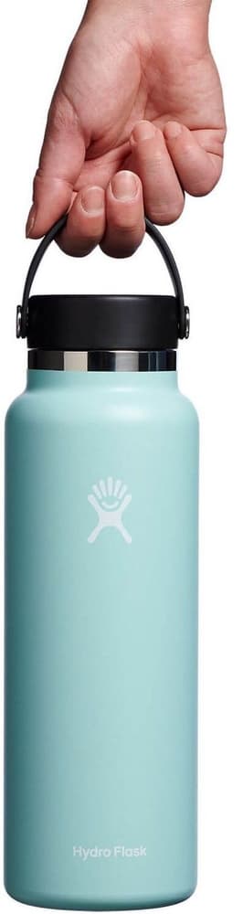 Hydroflask Wide Flex 40 oz (1180 ml) Dew, view: 1