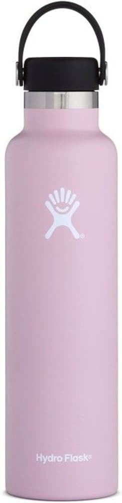 Insulated Standard Mouth Flex 710 ml Lilac, view: 0