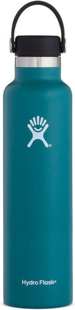 Insulated Standard Mouth Flex 710 ml Jade, view: 0