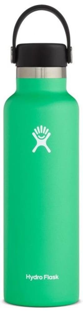 Insulated Standard Mouth Flex 621 ml Spearmint, view: 0