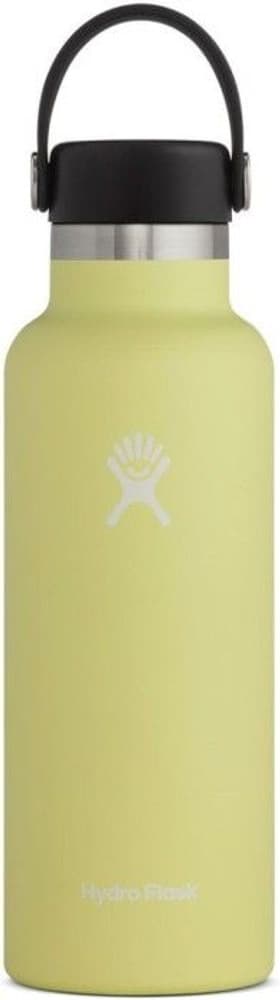 Insulated Standard Mouth Flex 532 ml Pineapple, view: 0