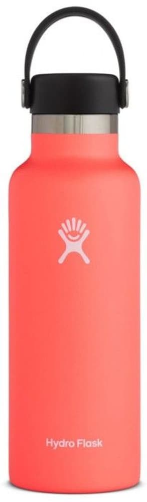 Insulated Standard Mouth Flex 532 ml Hibiscus, view: 0