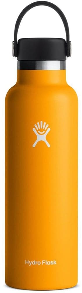 Insulated Standard Mouth Flex 21oz (621ml) Starfish, view: 0