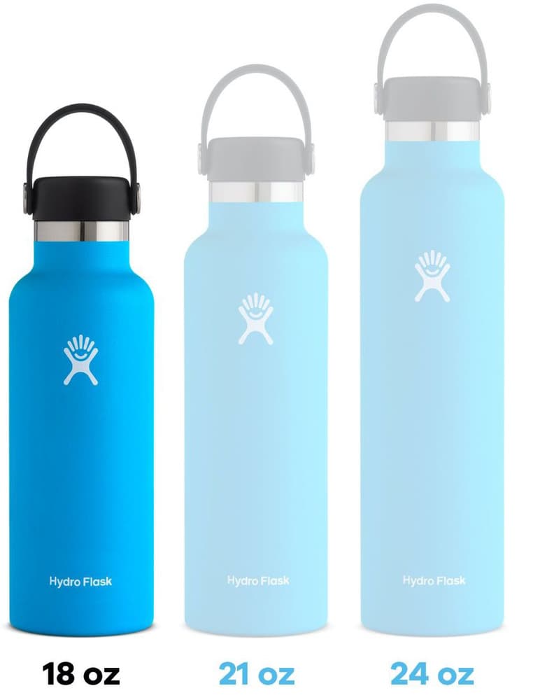 Insulated Standard Mouth Flex 18oz (532ml) Starfish, view: 1
