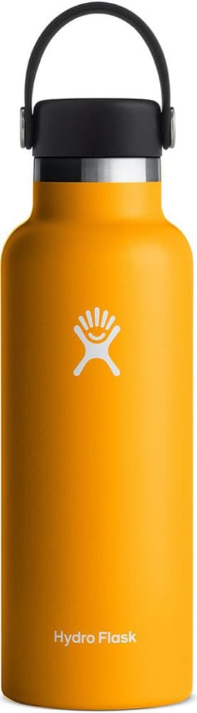 Insulated Standard Mouth Flex 18oz (532ml) Starfish, view: 0