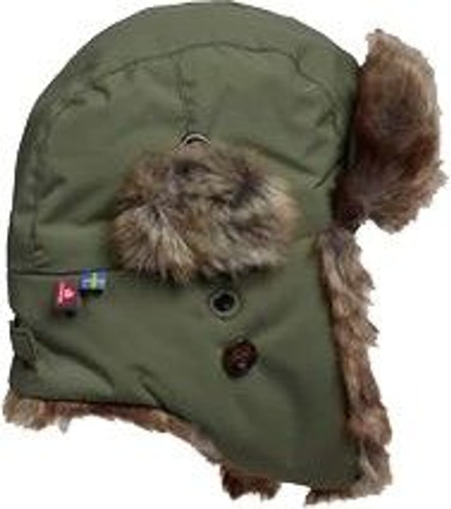 Squirrel Winter Cap Moss, view: 0