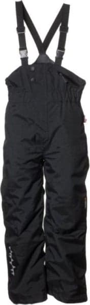 Powder Winter Pant Teens Black, view: 0