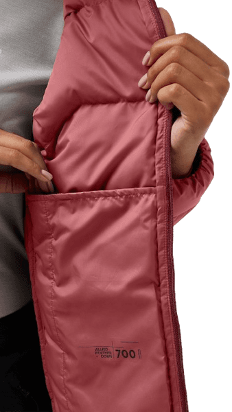 Ather Down Hoody W's Red Powder, view: 5