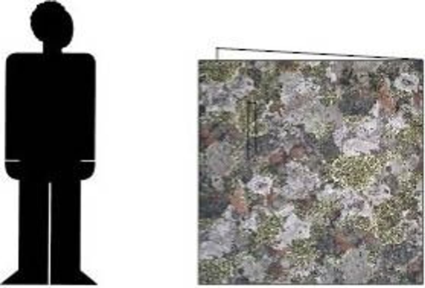 Original Skog, view: 1