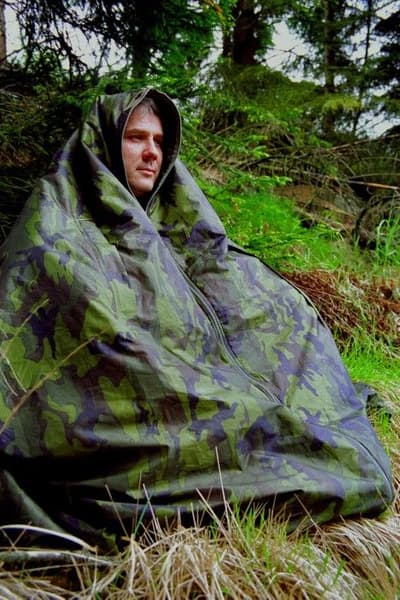 King Size Skog, view: 1