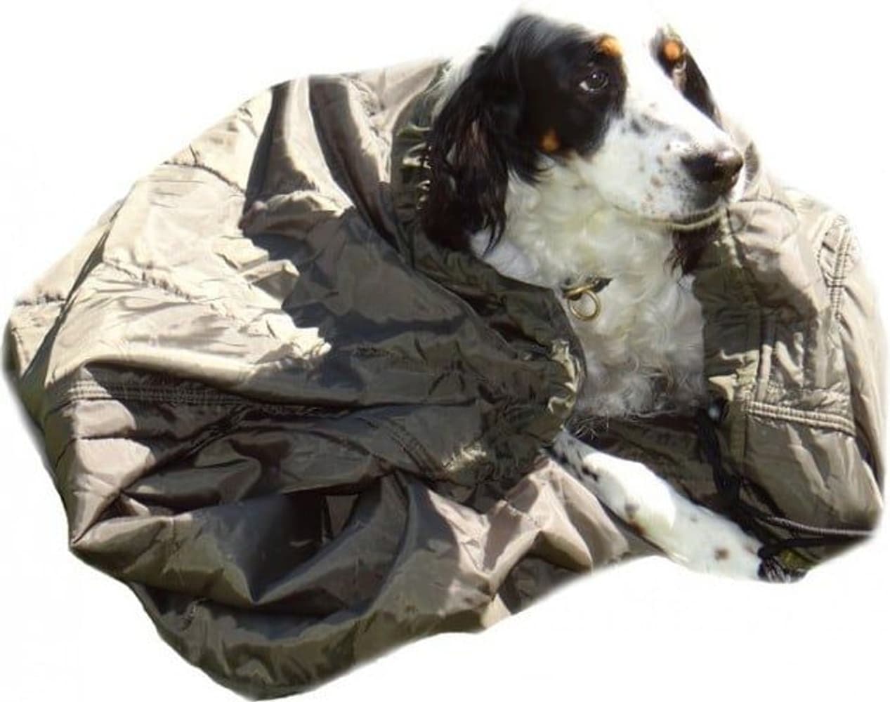 Hund Isolering Primaloft, view: 1