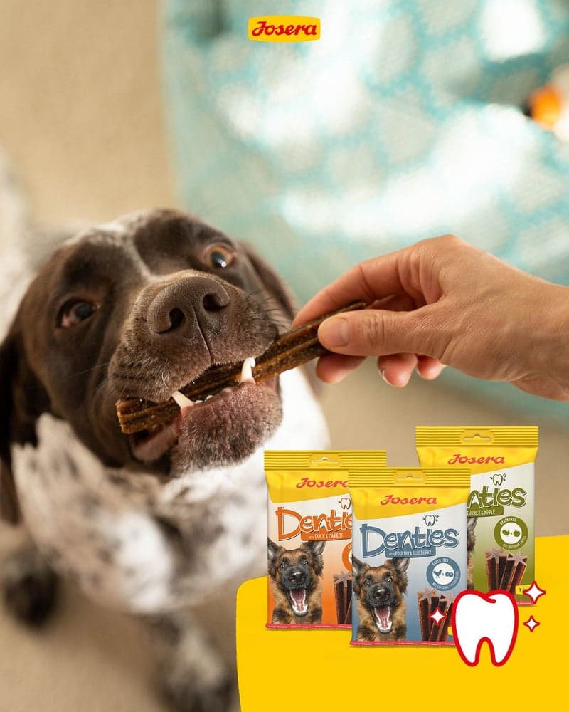 Denties Poultry & Blueberry 180g, view: 1