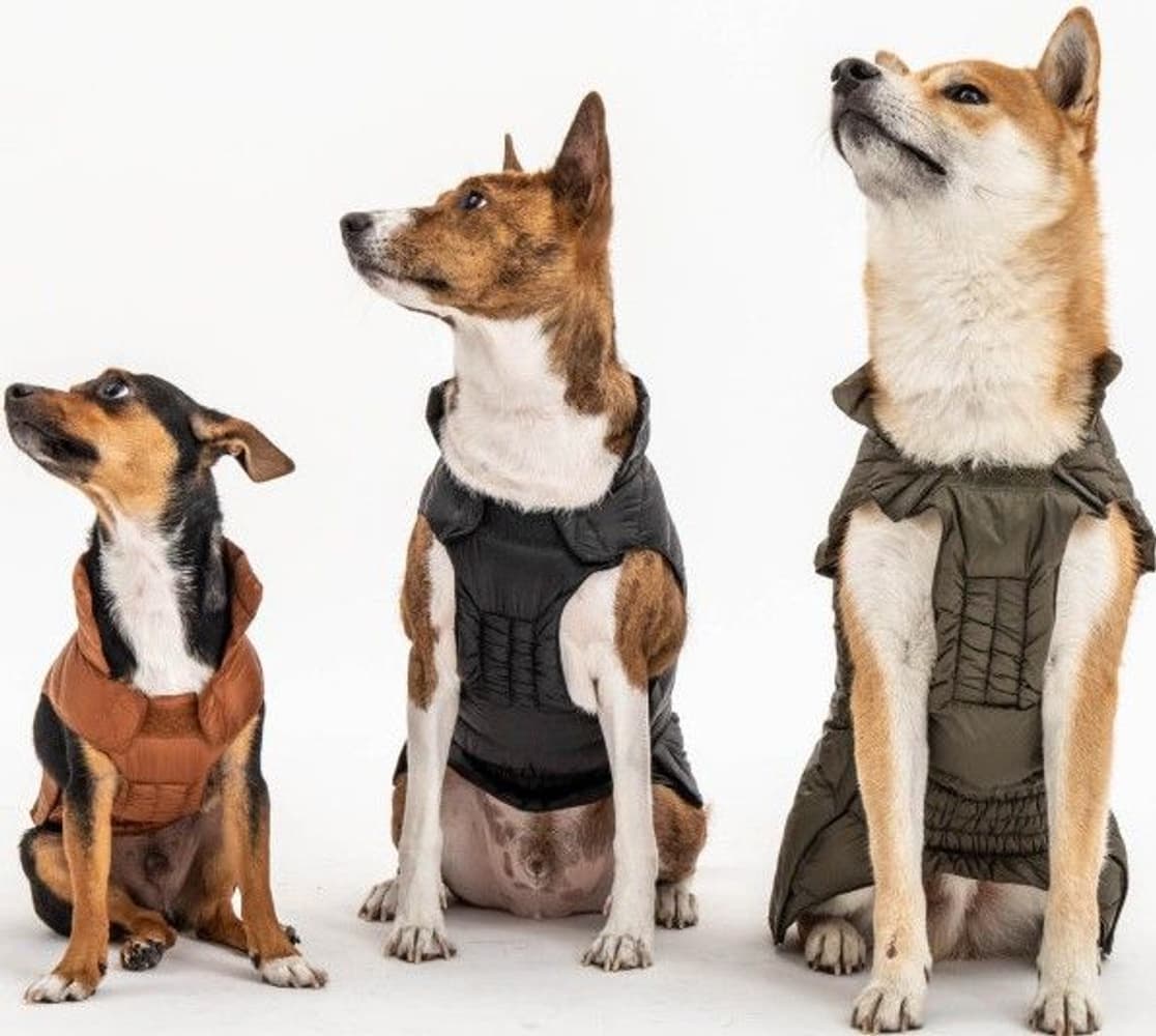 Hundtäcke Army, view: 3