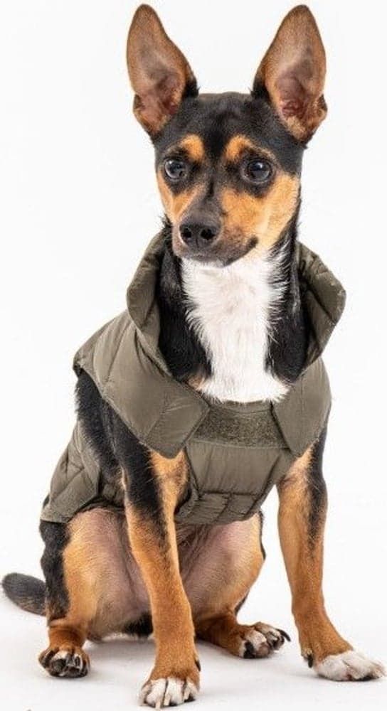 Hundtäcke Army, view: 1