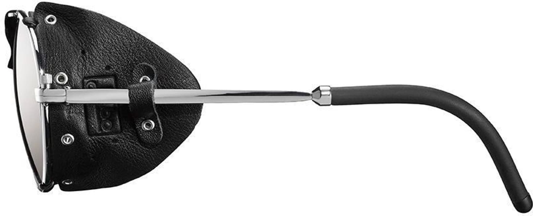 Cham Spectron 4 Silver/Black, view: 1