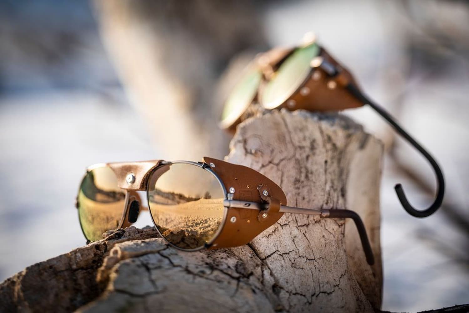 Cham Spectron 3 CF Brass/Havana, view: 5