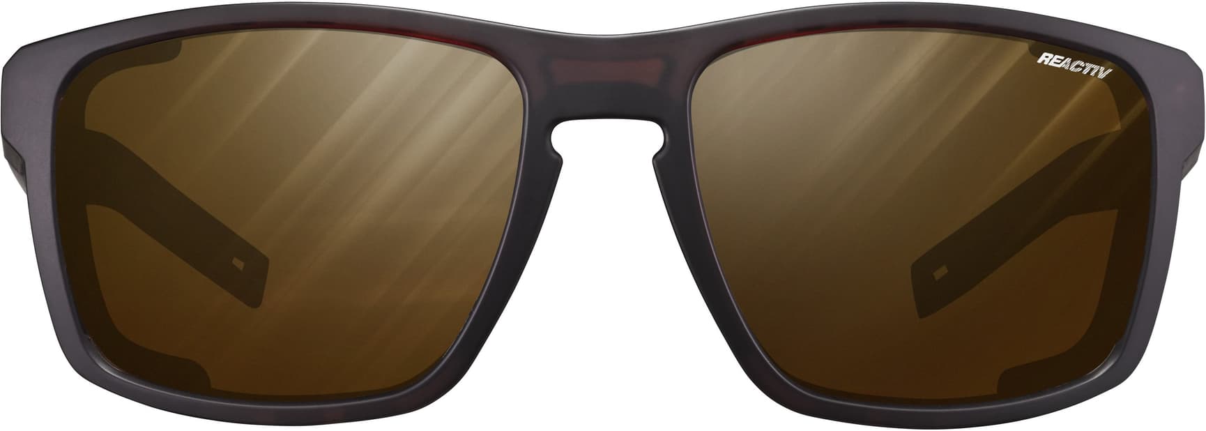 Shield Translucent Reactiv 2-4 Polarized Brown / Black, view: 2