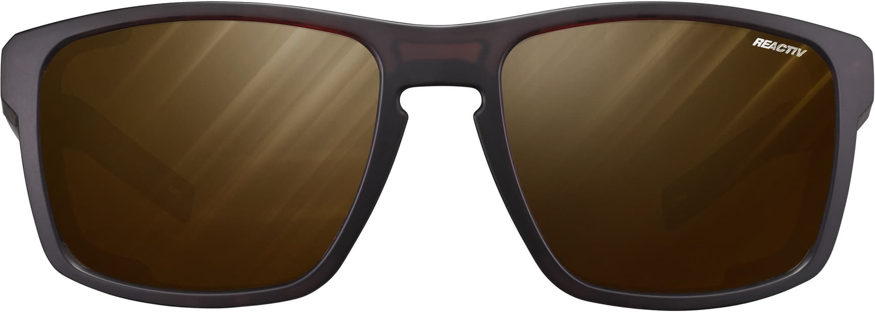 Shield Translucent Reactiv 2-4 Polarized Brown / Black, view: 1