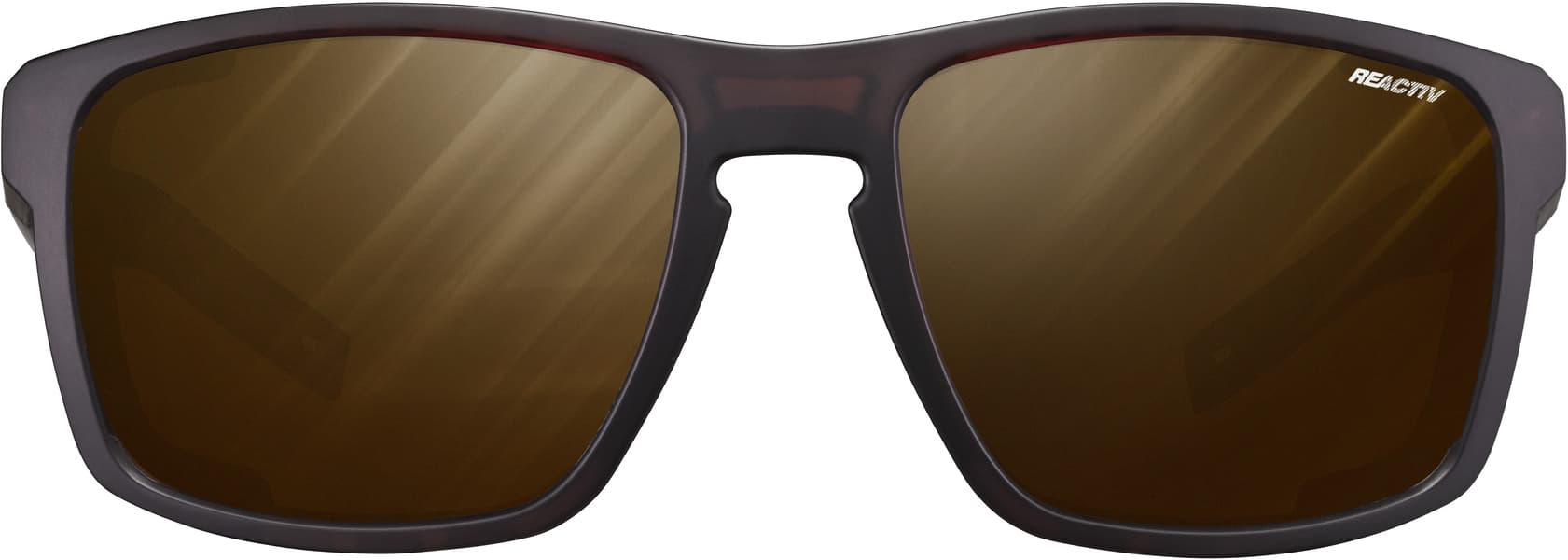 Shield Translucent Reactiv 2-4 Polarized Brown / Black, view: 1