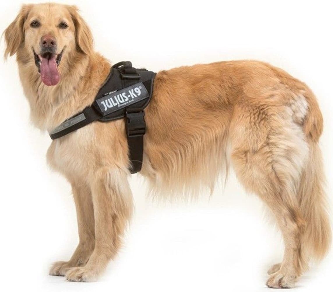 Julius-K9 IDC Powerharness Black XL-2XL, view: 1