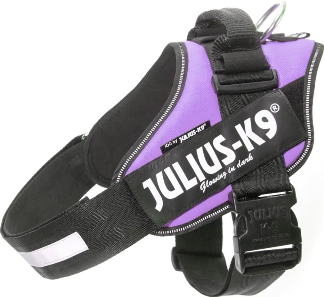 Julius-K9 IDC-Sele 2 (71-96 cm) Flera färger, view: 5